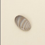 Zdjęcie - Krzemień pasiasty kaboszon owal 31x20 mm