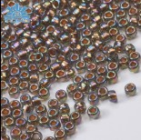 Zdjęcie - Koraliki TOHO Round 8/0 Gold-Lined Rainbow Black Diamond
